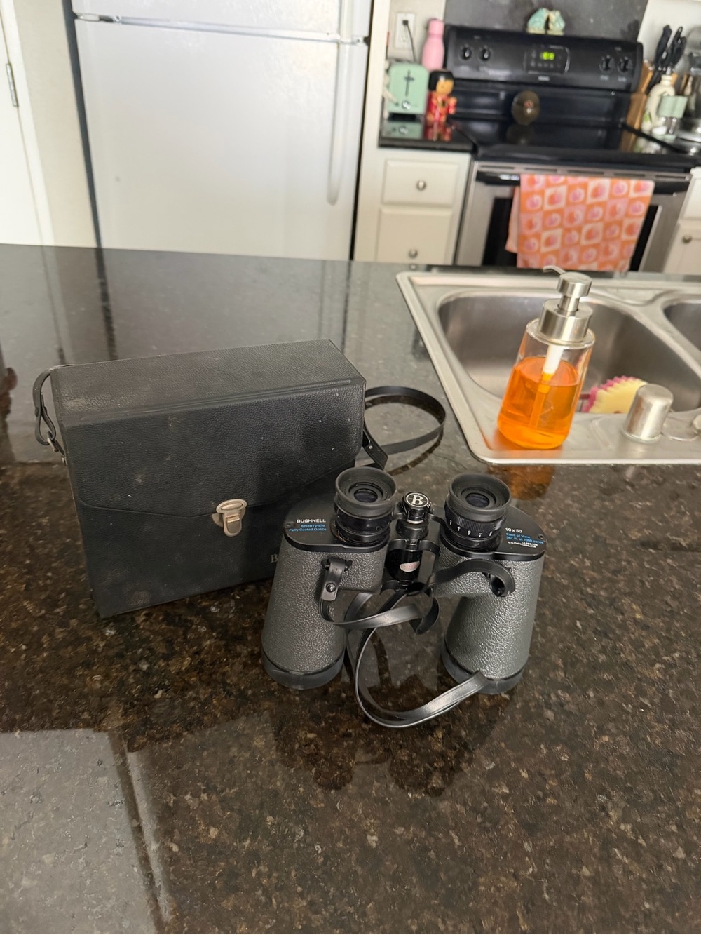 Vintage Bushnell Sportsview Fully Coated Optics 10X50 Binoculars & Carrying Case